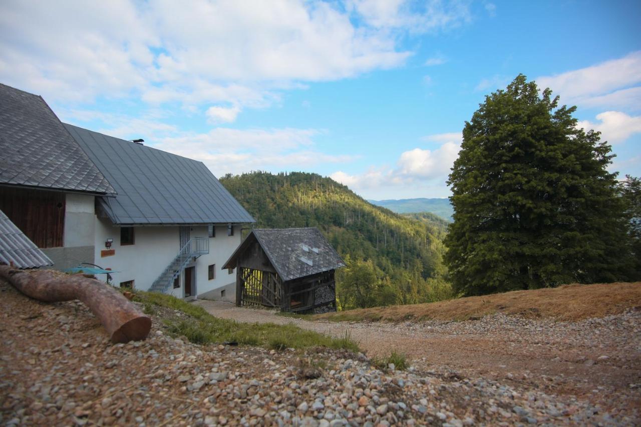 Apartma Gorski Razgled Srednja Vas v Bohinju Extérieur photo