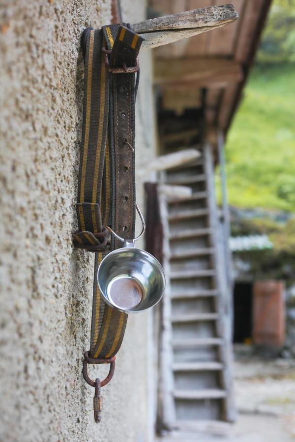 Apartma Gorski Razgled Srednja Vas v Bohinju Extérieur photo