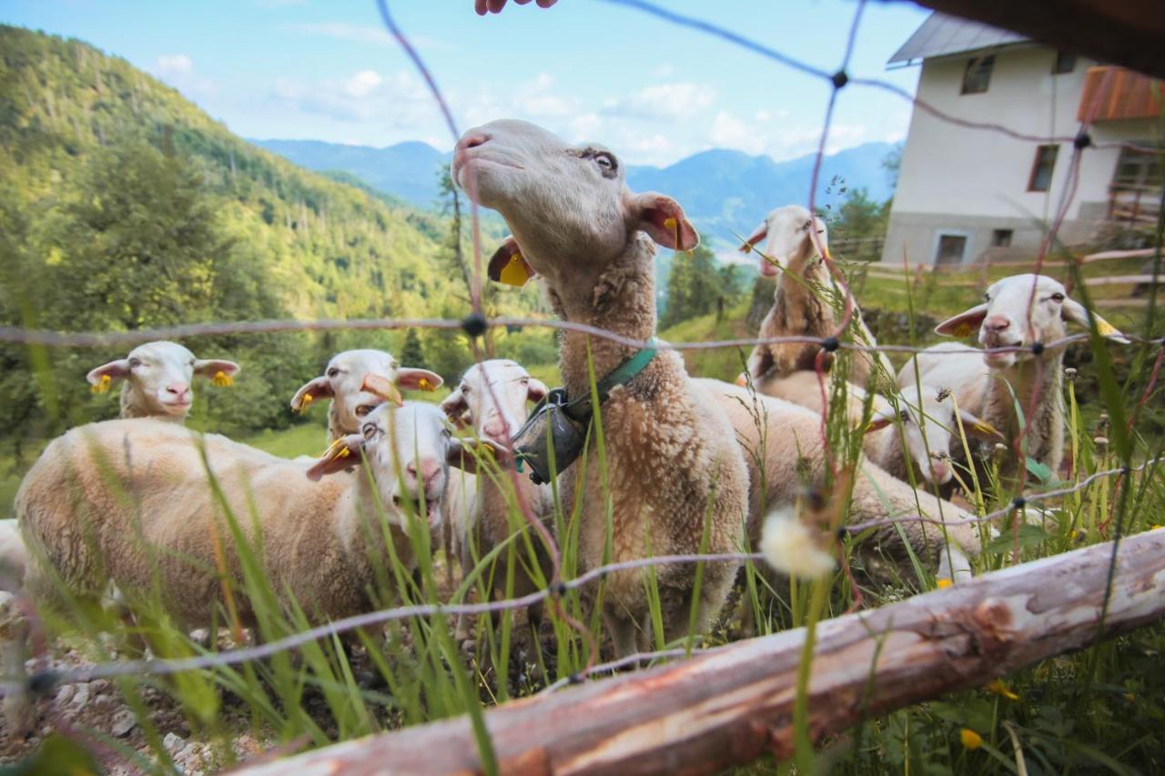 Apartma Gorski Razgled Srednja Vas v Bohinju Extérieur photo