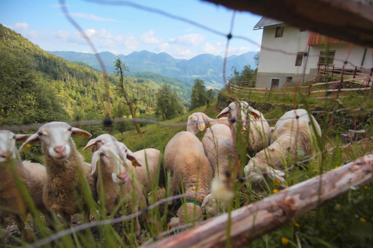 Apartma Gorski Razgled Srednja Vas v Bohinju Extérieur photo