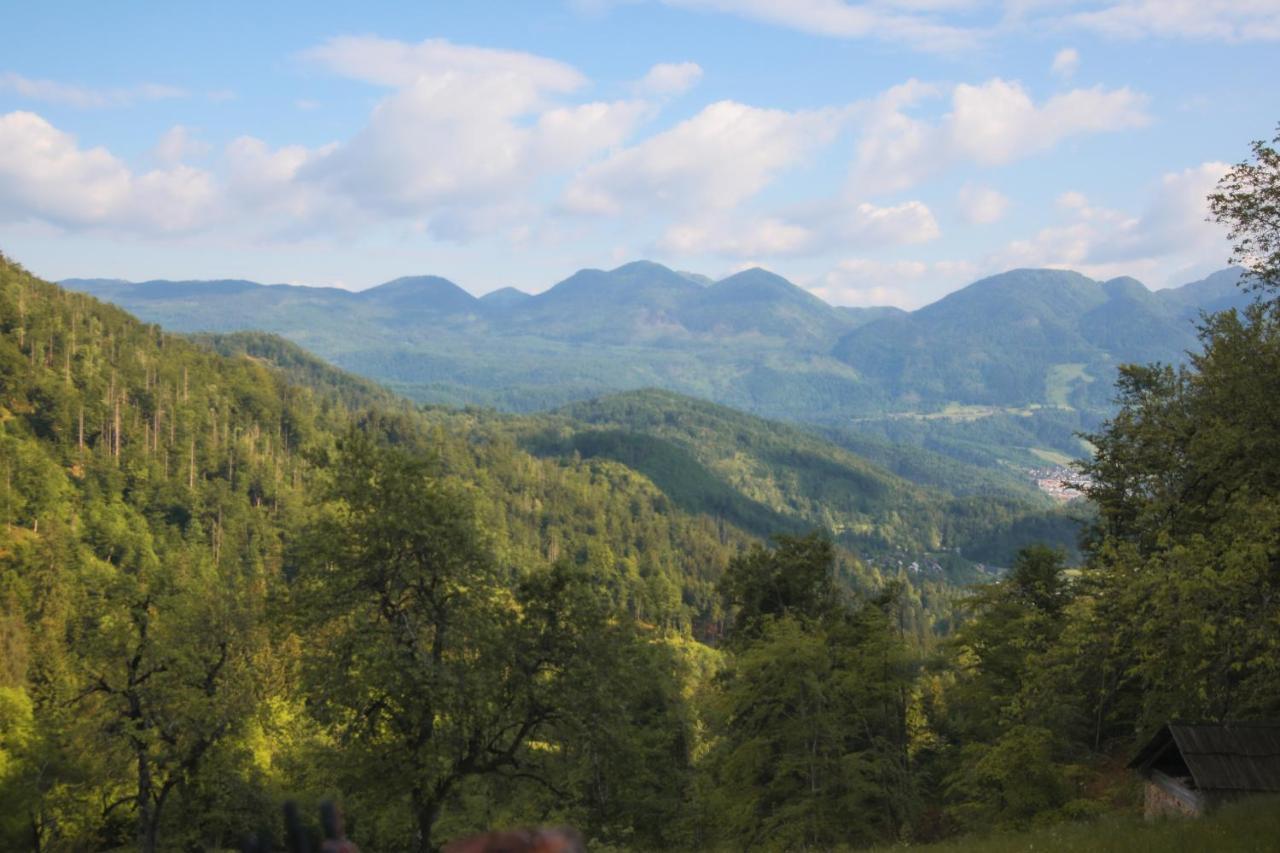 Apartma Gorski Razgled Srednja Vas v Bohinju Extérieur photo