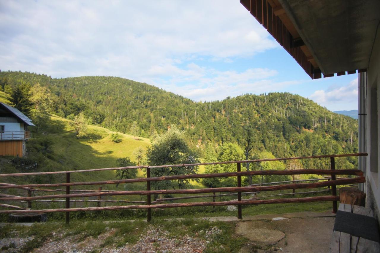 Apartma Gorski Razgled Srednja Vas v Bohinju Extérieur photo